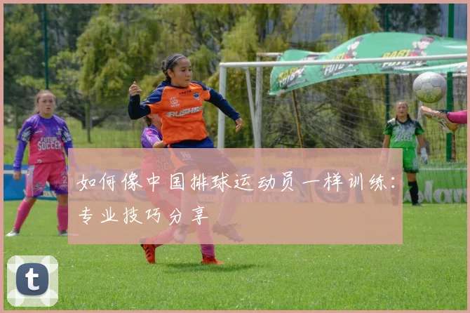 如何像中国排球运动员一样训练：专业技巧分享