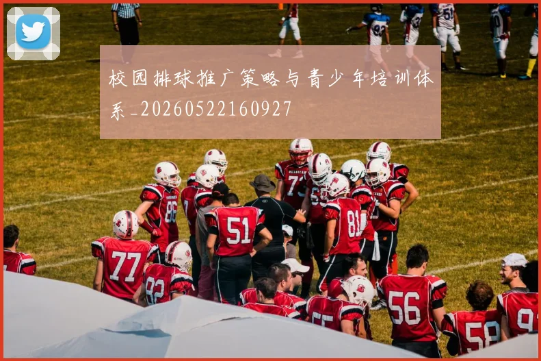 校园排球推广策略与青少年培训体系_20260522160927