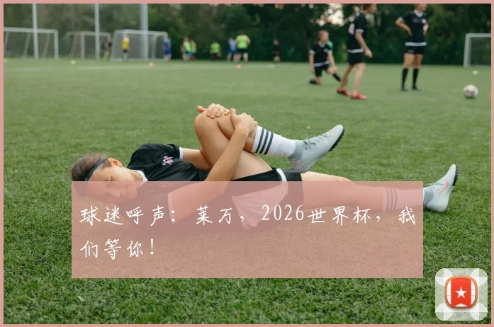 球迷呼声:莱万,2026世界杯,我们等你!