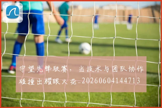 守望先锋联赛，当技术与团队协作碰撞出耀眼火花_20260604144713